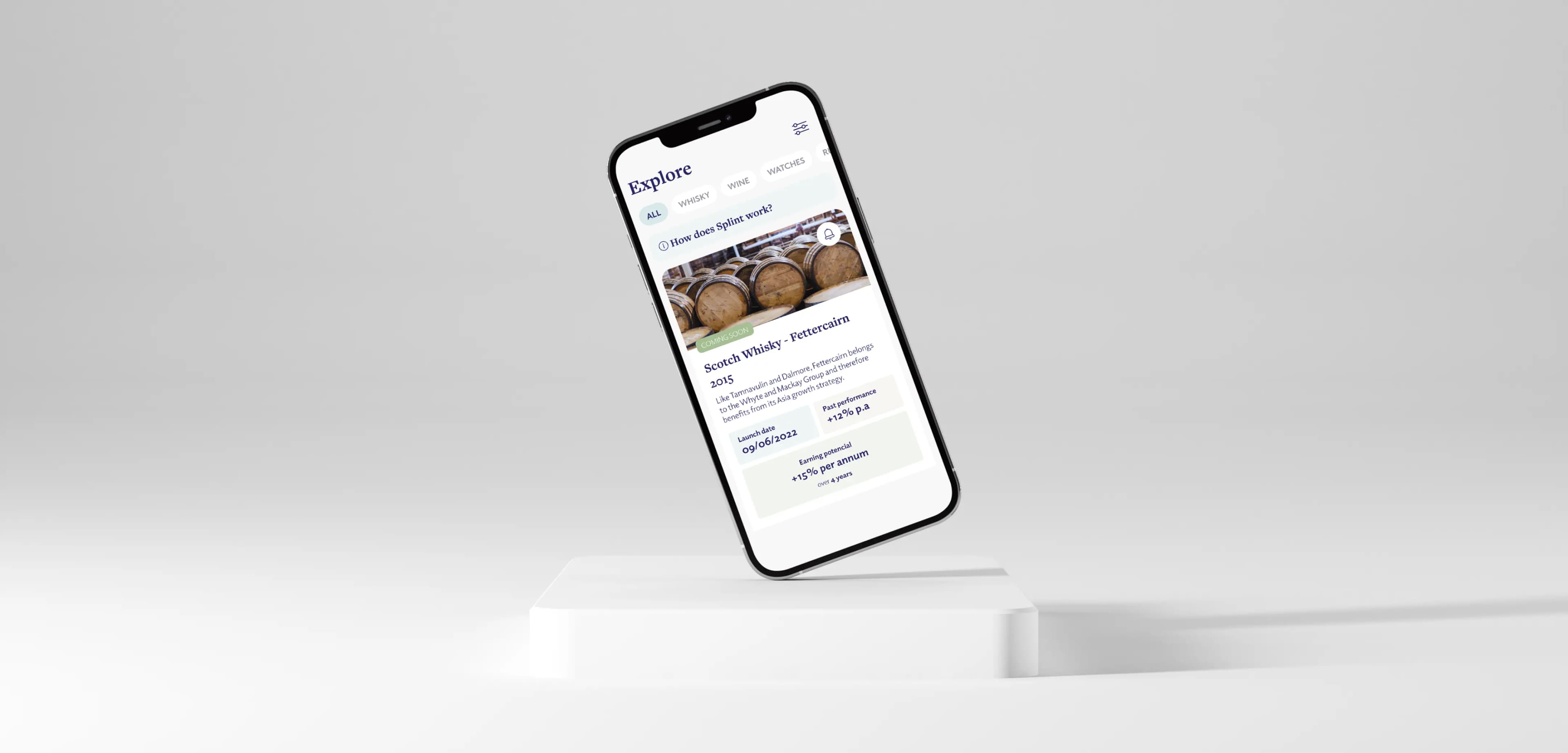 Splint Invest